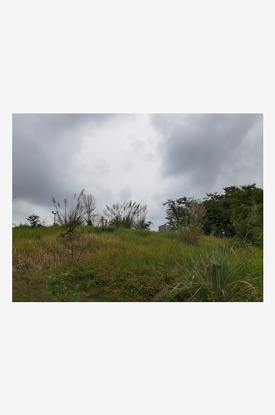 城郊杂草人生的荒芜场景-众图网