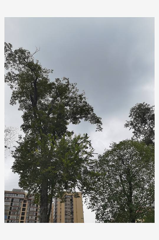 灰色天空下的城市建筑一角-众图网