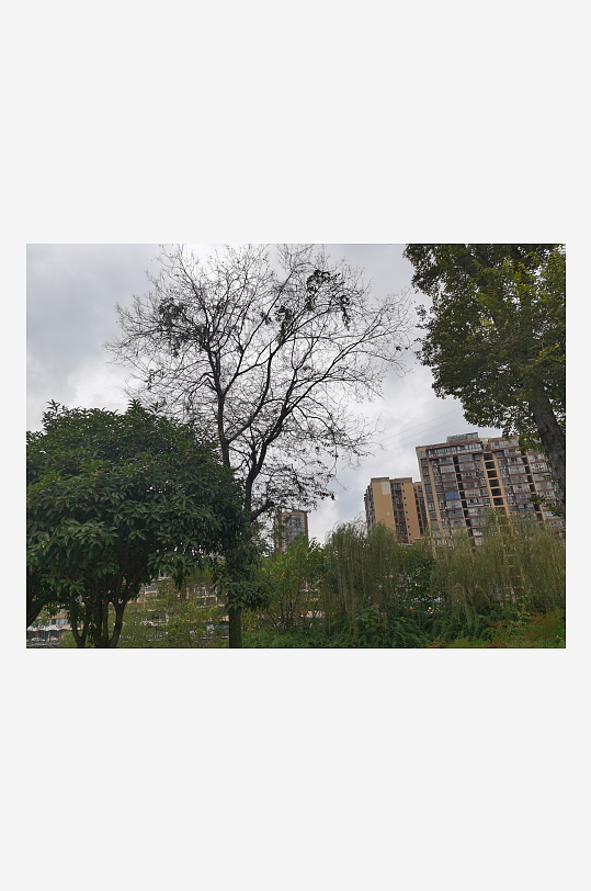 灰色天空下的城市建筑一角-众图网