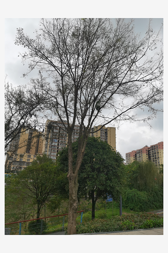 灰色天空下的城市建筑一角-众图网