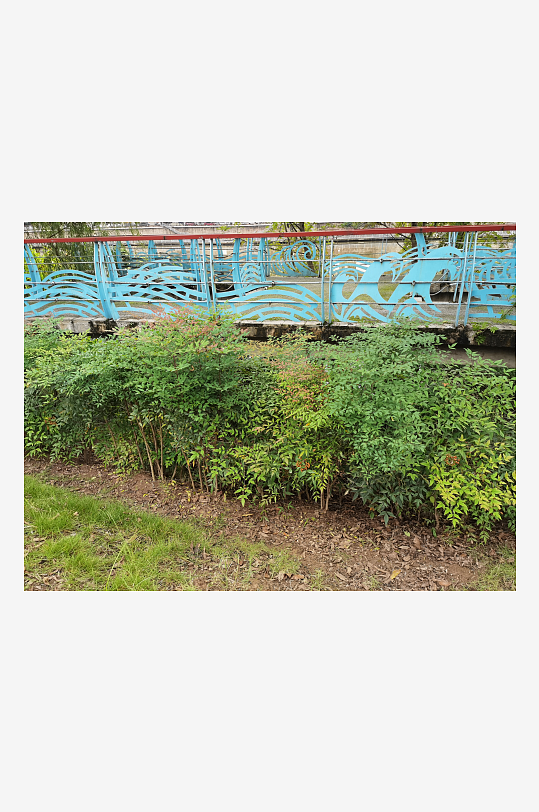 休闲公园舒适清新环境-众图网