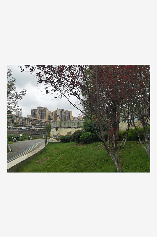 清新舒适的城市公园环境-众图网