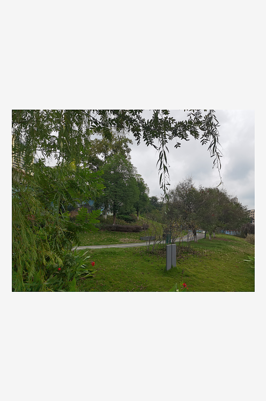 户外繁茂清新的绿植-众图网