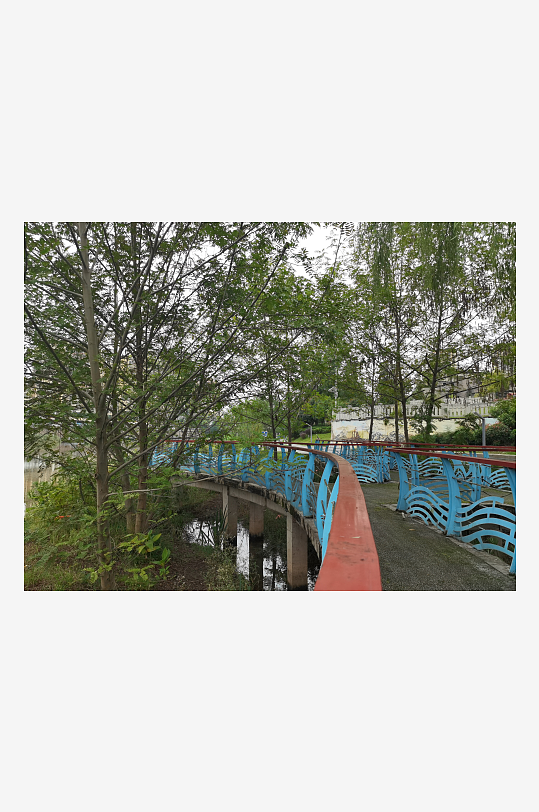 户外繁茂清新的绿植-众图网