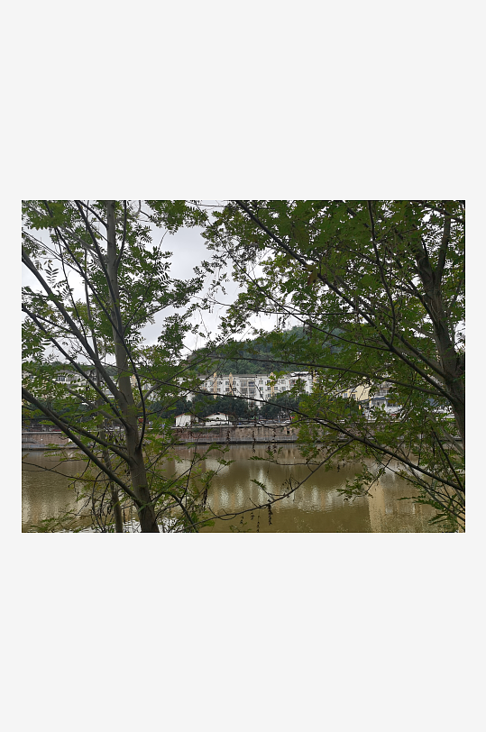 户外繁茂清新的绿植-众图网