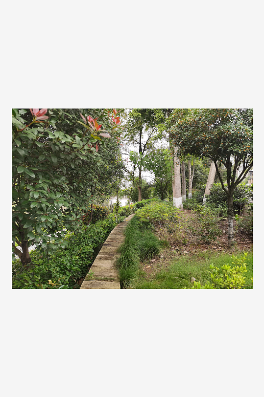 清新舒适的公园环境-众图网