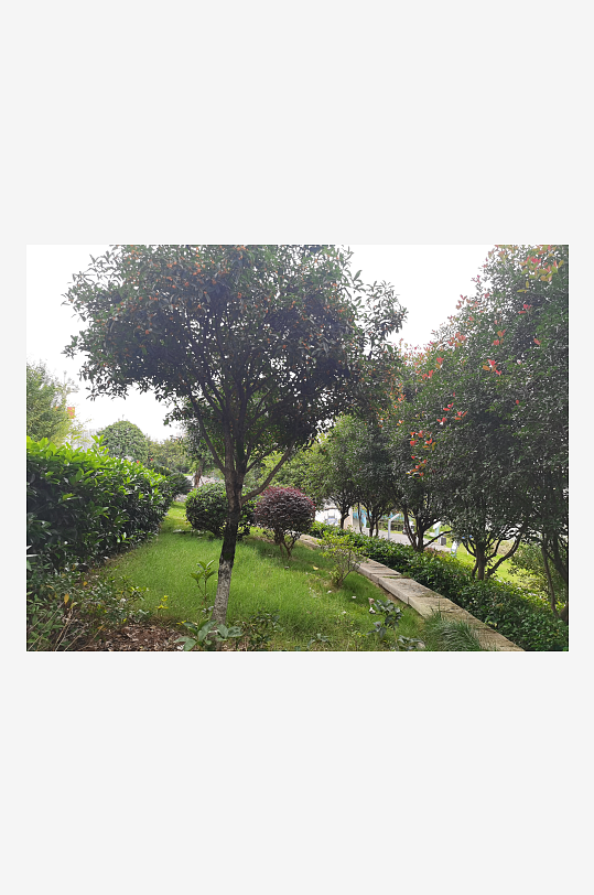 清新舒适的公园环境-众图网