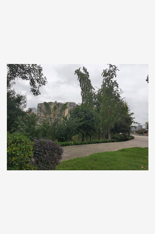 清新舒适的公园环境-众图网