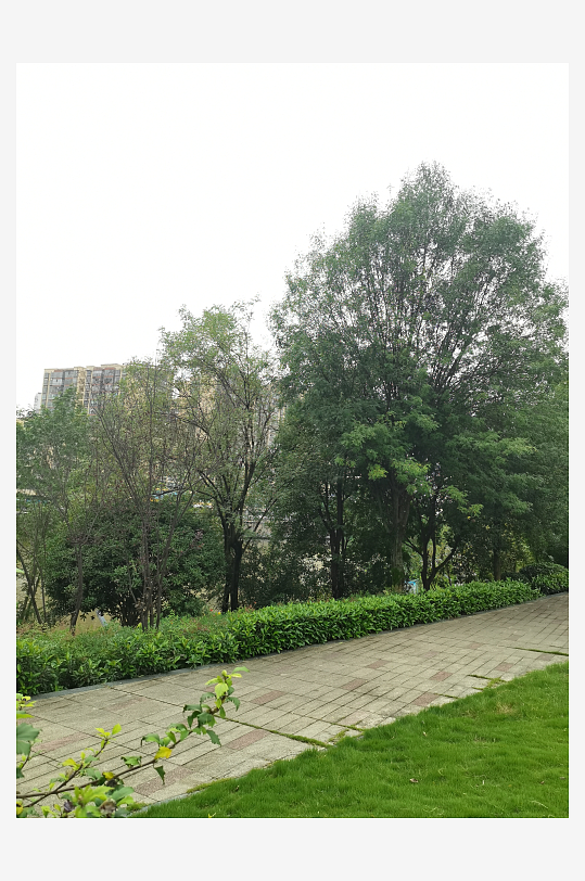 清新舒适的公园环境-众图网