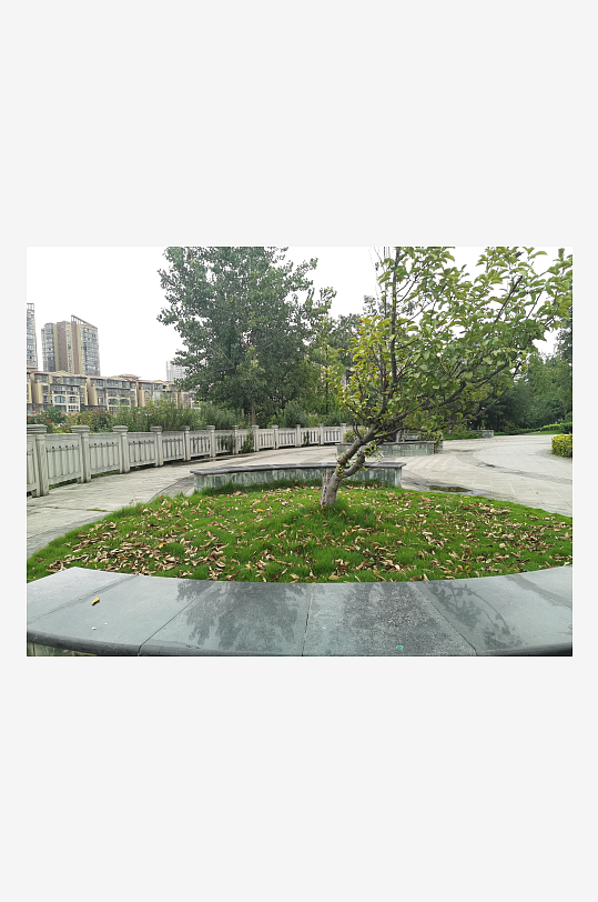 清新舒适的城郊公园-众图网