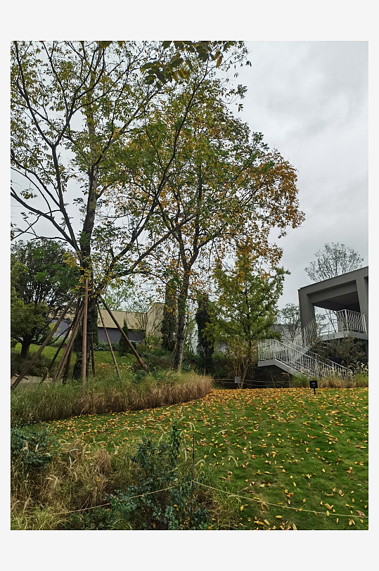 清新宜人的户外场所-众图网