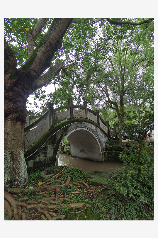 清新宜人的户外场所-众图网