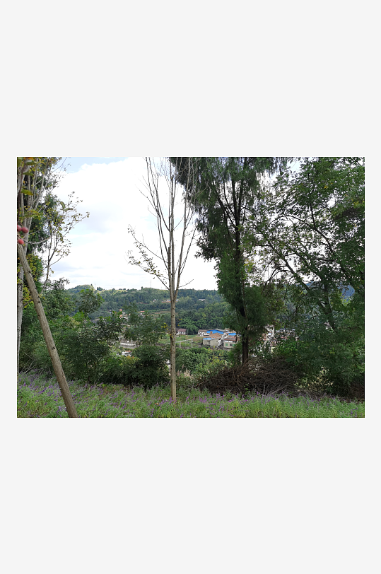 森林公园生态环境-众图网