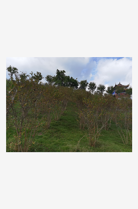 森林公园生态环境-众图网