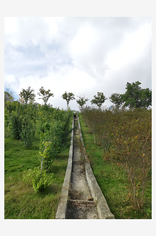 森林公园生态环境-众图网