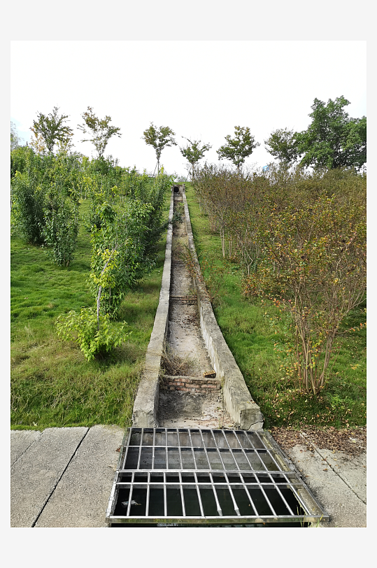 森林公园生态环境-众图网