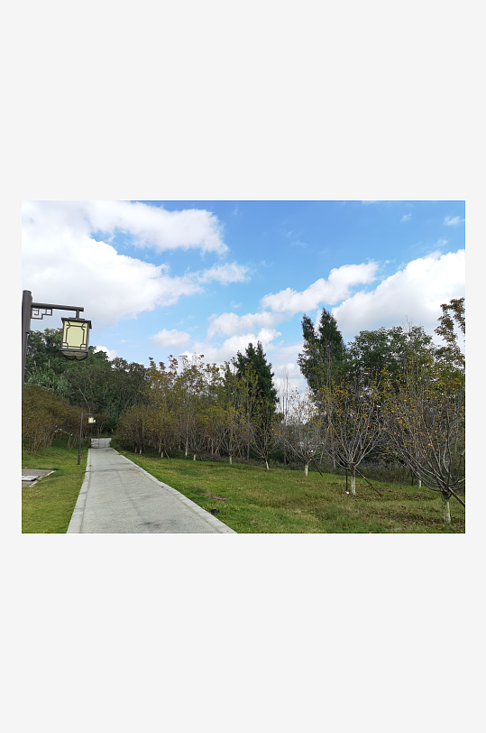 森林公园生态环境-众图网