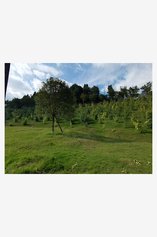 生态公园自然风光-众图网