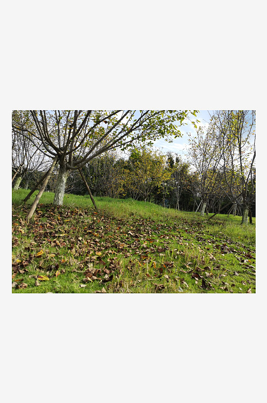 生态公园自然风光-众图网