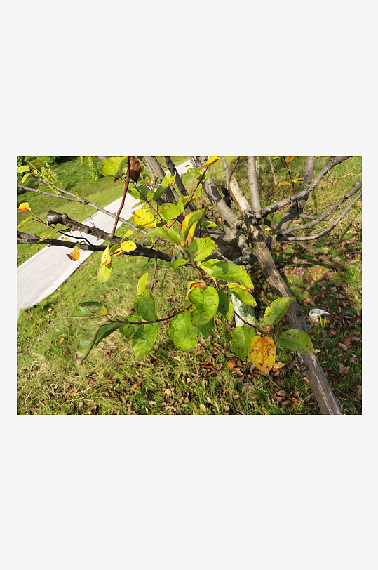 生态公园自然风光-众图网