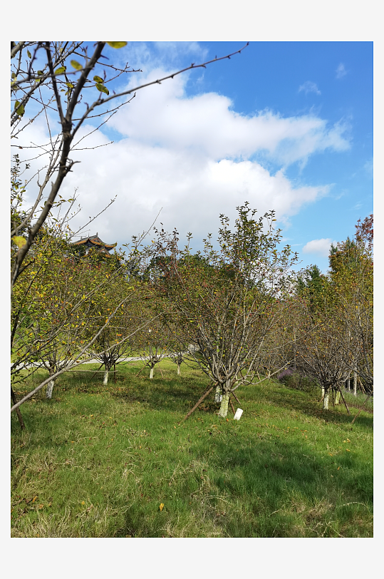 生态公园自然风光-众图网