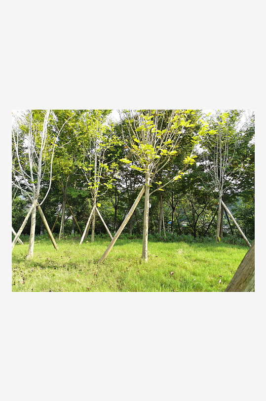 生态公园自然风光-众图网