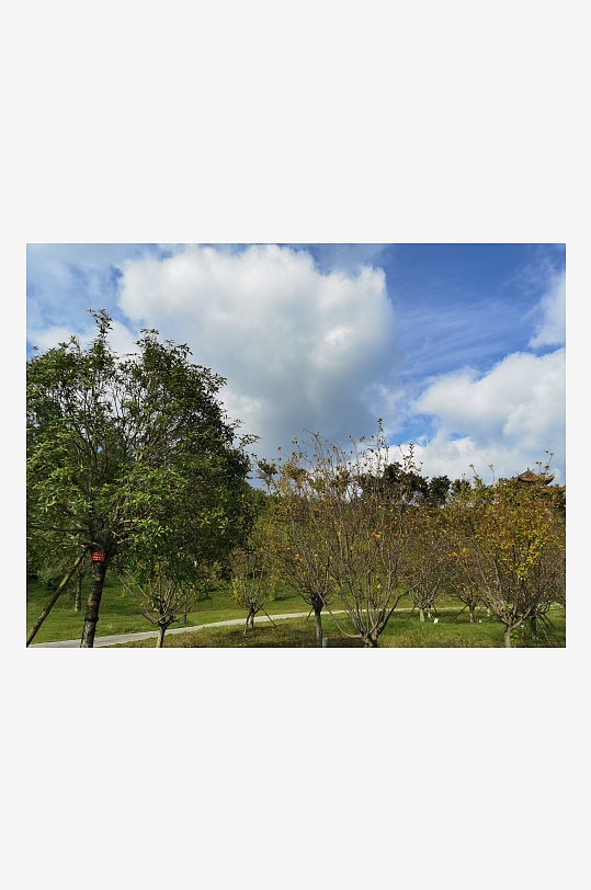 生态公园自然风光-众图网