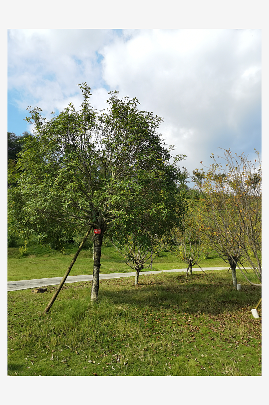 生态公园自然风光-众图网