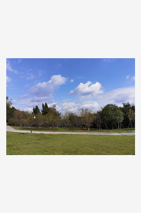 森林公园自然风光-众图网