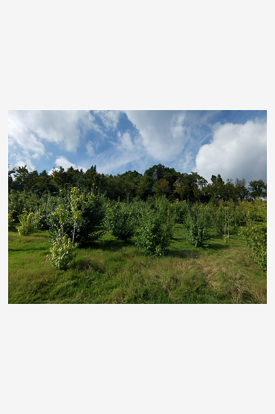 森林公园自然风光-众图网