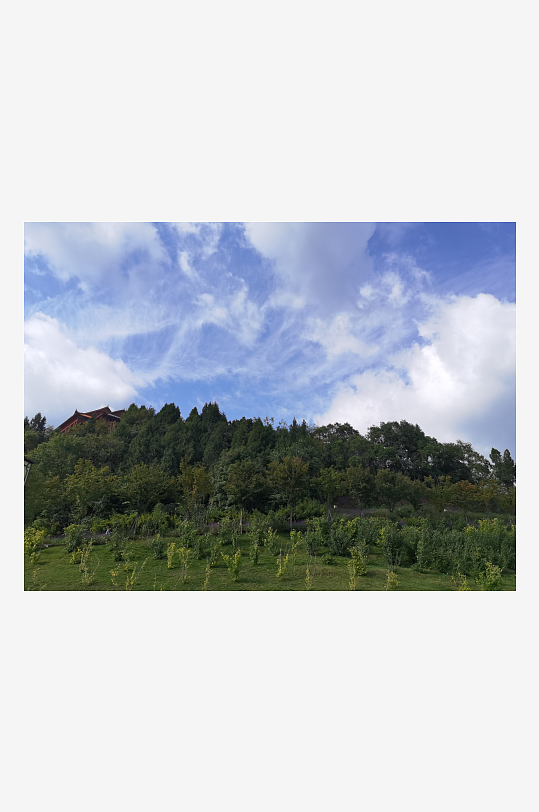 森林公园生态环境-众图网