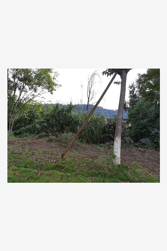 森林公园生态环境-众图网