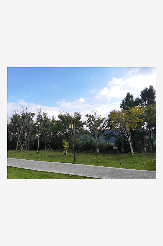 森林公园生态环境-众图网