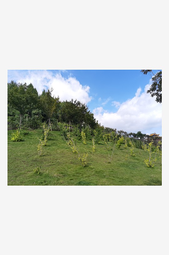 清新宜人的生态公园-众图网