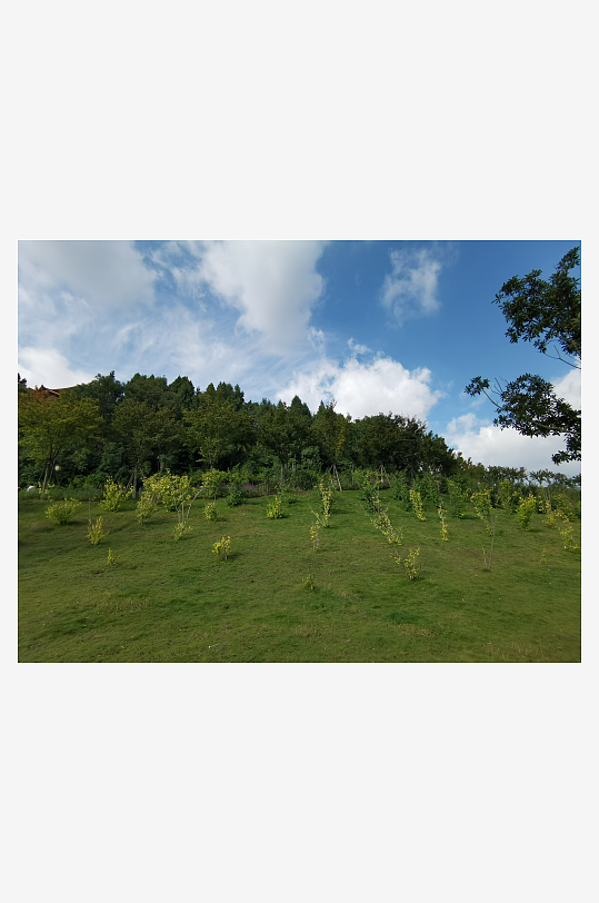 清新宜人的生态公园-众图网