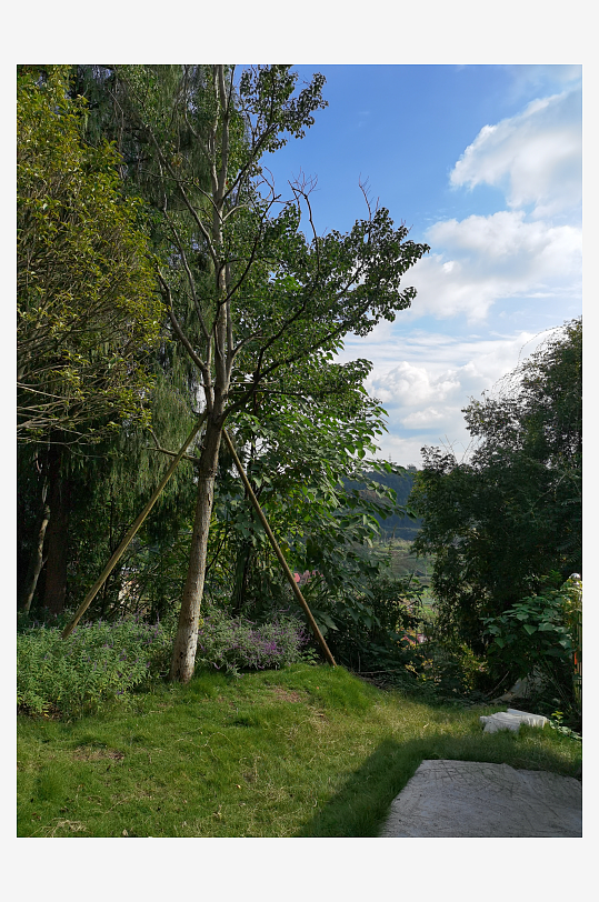 清新宜人的生态公园-众图网