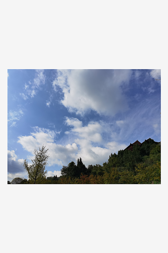 晴朗天空与繁茂树冠-众图网