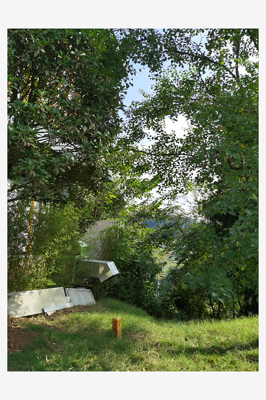 清新宜人的生态公园-众图网