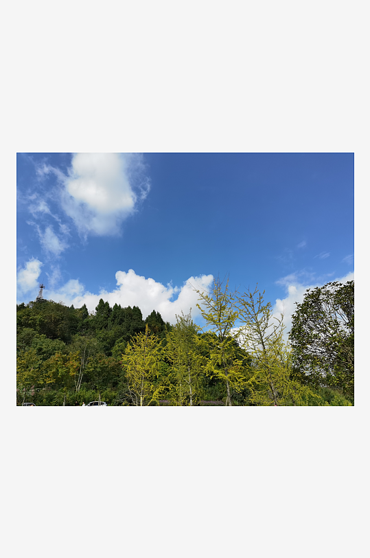 晴朗天空与繁茂树冠-众图网