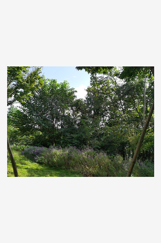 绿意盎然的生态公园-众图网