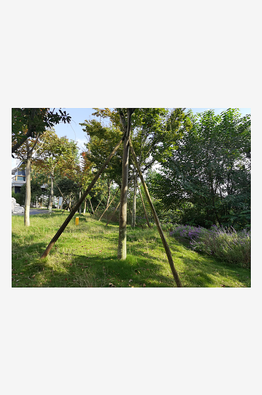 绿意盎然的生态公园-众图网