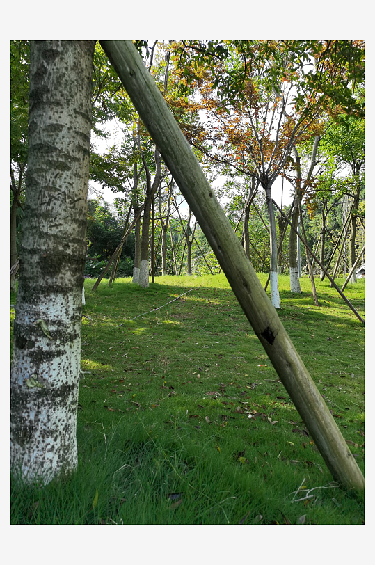 绿意盎然的生态公园-众图网