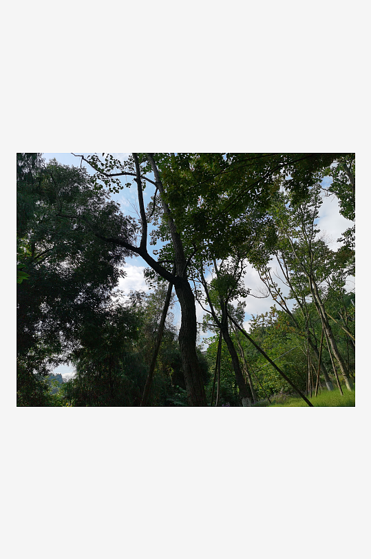 绿意盎然的生态公园-众图网