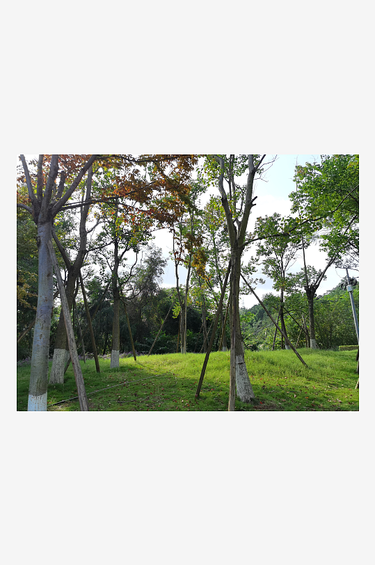 清新宜人生态公园环境-众图网