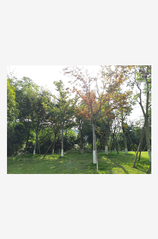 清新宜人生态公园环境-众图网