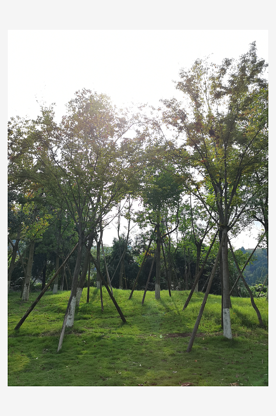 清新宜人生态公园环境-众图网