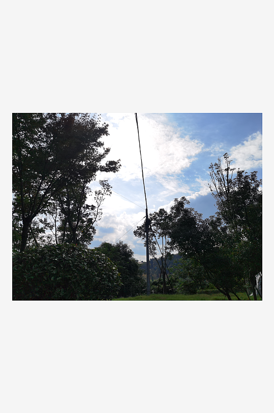 繁茂生长的清新树木-众图网