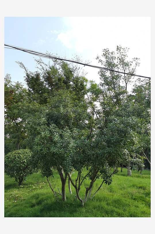 清新宜人生态公园环境-众图网