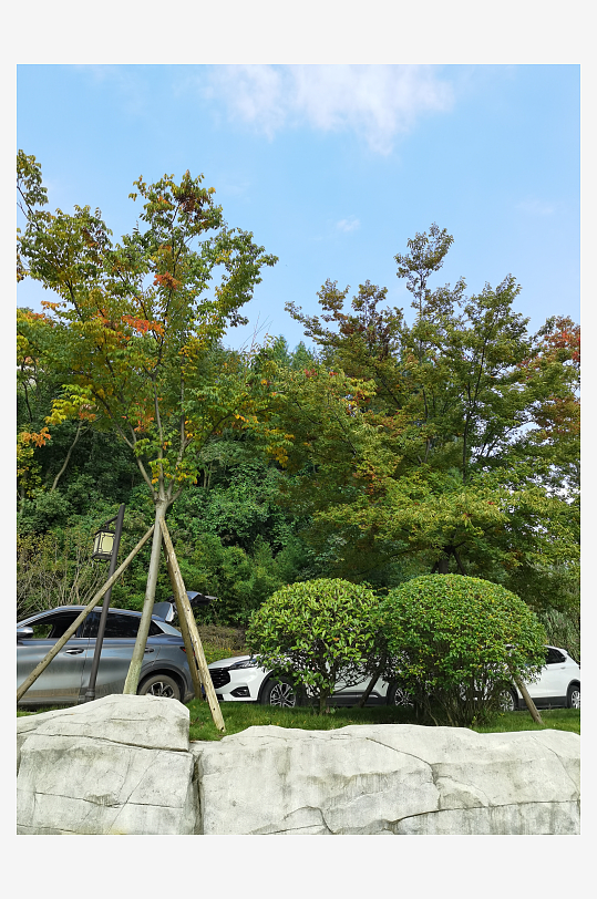 清新舒适的生态公园环境-众图网