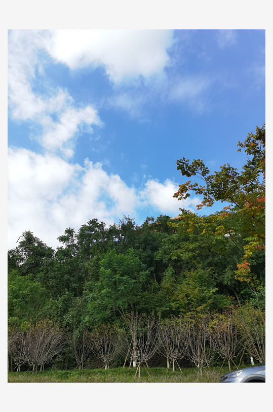 清新宜人生态公园环境-众图网